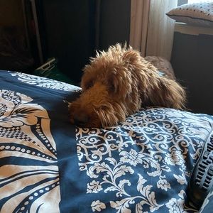 Meet your Posher, Tamara